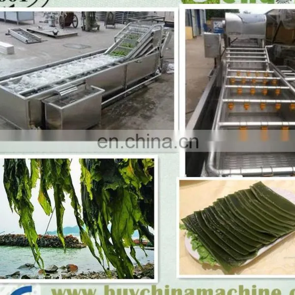 Seaweed Washing Machine/Industrial Washing Drying Machine/seaweed Nitrate Packaging Machine photo-2