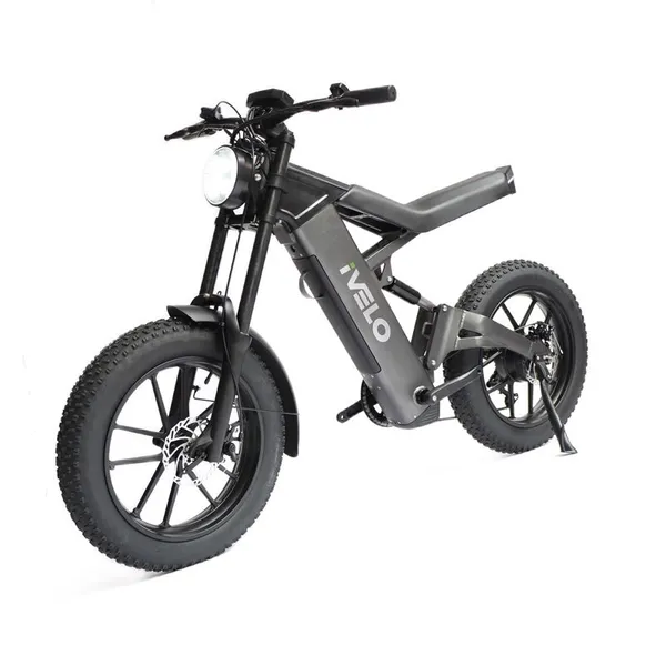 IVelo Wholesale 20*4.0 1000W Motor Big Power Fat Tire Electric Bike Mountain Ebike Bicycle photo-3