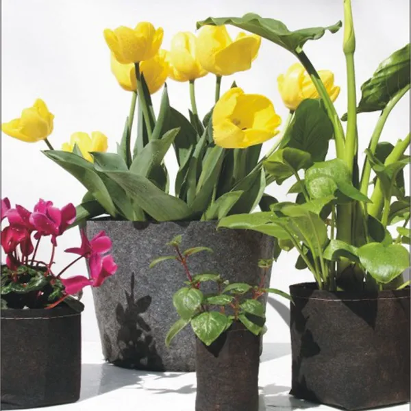 Eco-Friendly Fabric Grow Bags for Indoor and Outdoor Plants photo-4