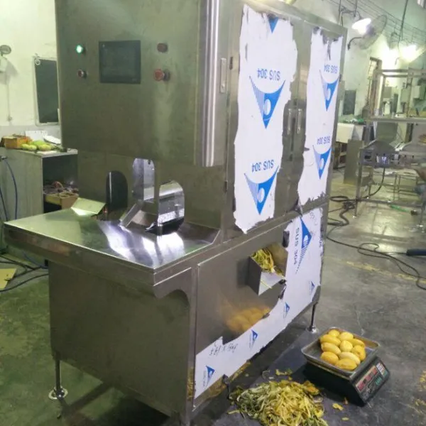 Factory Industrial PLC Full Automatic Apple Kivi Mango Peel Skin Removing Equipment Orange Lemon Peeler Fruit Peeling Machine photo-3