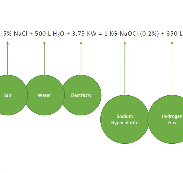 Seawater Electrolysis System for Cooling Water Microorganism Control