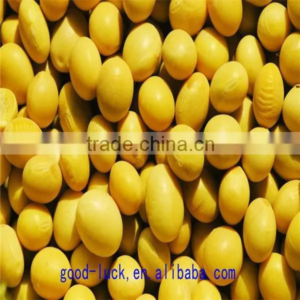 Soya Beans ,non-GMO,good Quality,cheap Price photo-5