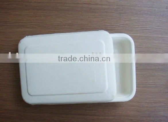 Disposable Food Tray PE Lamination
