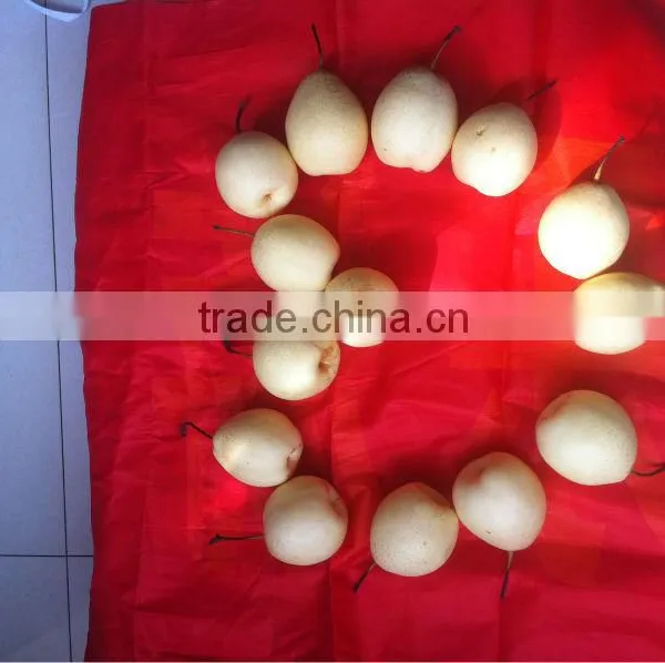 New Crop Year Pear Sweet Crisp on the Market photo-4