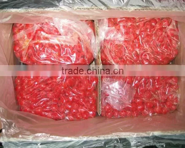 Export Cherry Taste Plums Pitted(red) photo-2