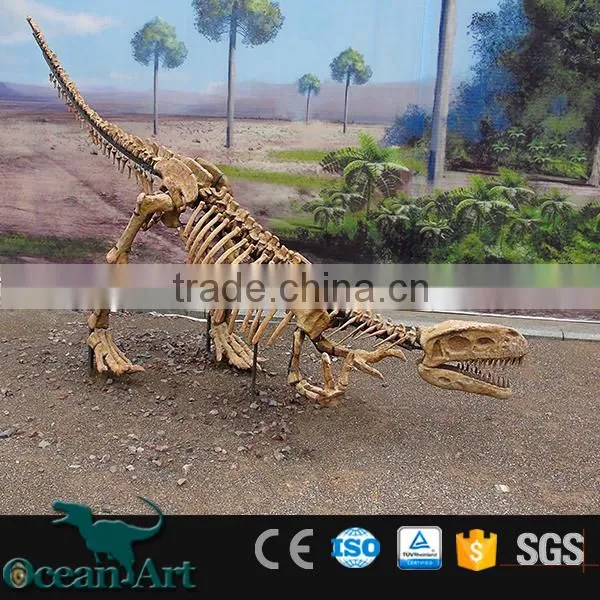 OAV2432 Dig Dinosaur Fossil Replica Real Dinosaur Fossils photo-4
