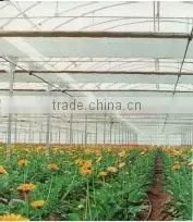 PE Agriculture Greenhouse Film photo-5