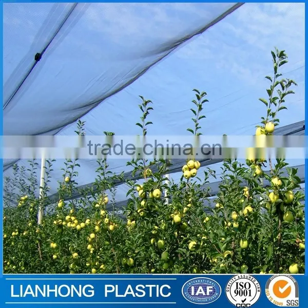 Factory Price White Color Apple Tree Anti Hail Net, 45g 50g 55g 60g 70g/m2 Anti Hail Net With UV Protection in Rolls photo-6