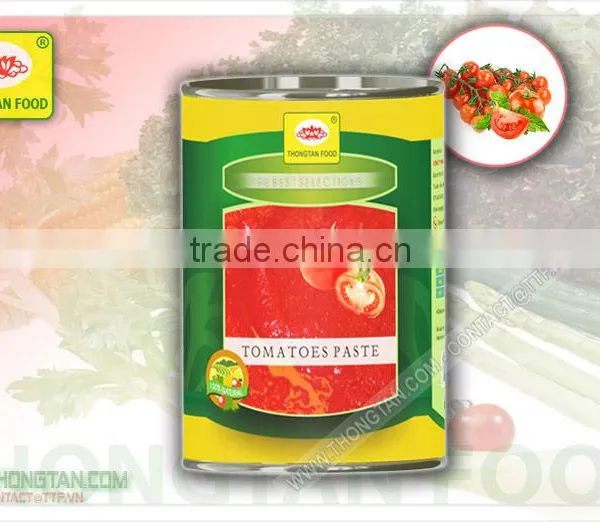 Tomatoes Paste in Can 15 Oz