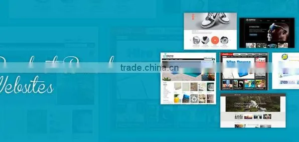Product Based Website Designing photo-2