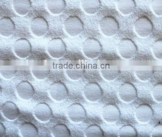 Compressed Wet Towel