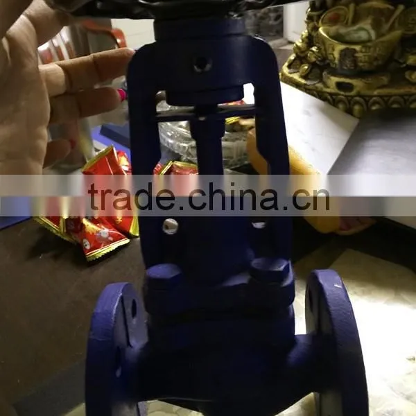 Bangladesh Cast Iron Globe Valve photo-4