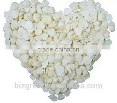 Chinese Guangzhong Blanched Apricot Kernels Flakes photo-5