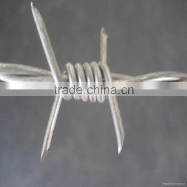 Factory Price Good Quality Galvanized Barbed Wire photo-4