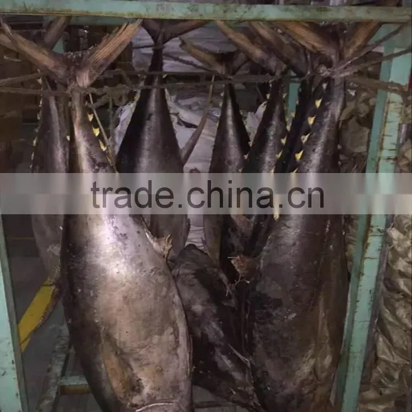 2016 New Product Frozen Tuna Fish Yellowfin photo-3