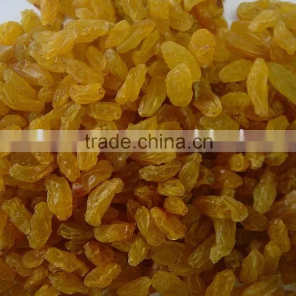 Golden Raisins