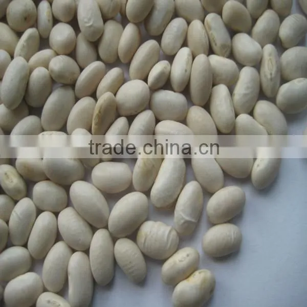 White Kidney Bean for Sale photo-5