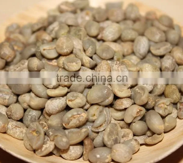 Wholesale Good Quality Yunnan Green Coffee Beans photo-4