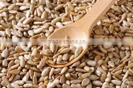 Sunflower Kernels Dried Sunflower Seeds for Bird Food photo-4