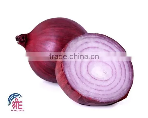 Fresh Onions