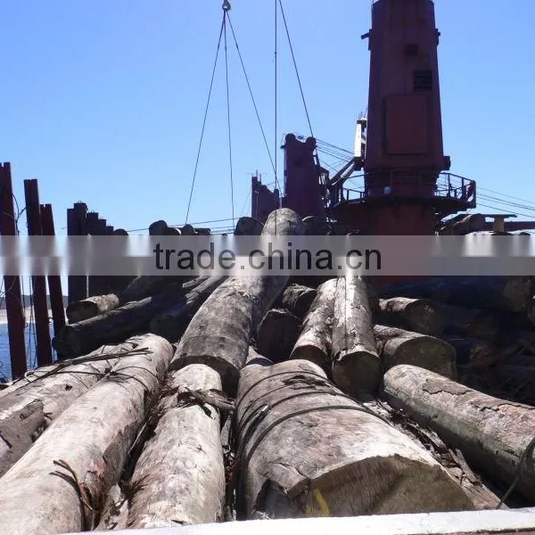 Worldwide Shipping of Any Commodies( Coal, Iron Ore, Cement, Fertilisers, Salt, Containers, Steel, Grain, Coke, Scrap, Timber,)
