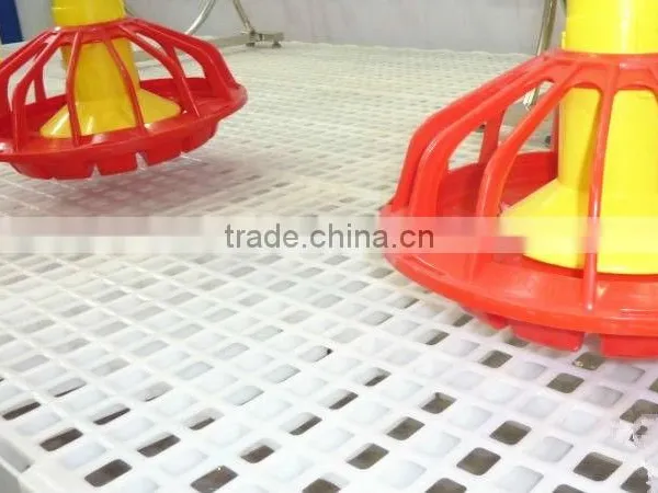 Plastic Chicken Slat With Supporting Legs for Chicken House photo-6