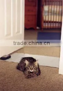 Pet Accessory