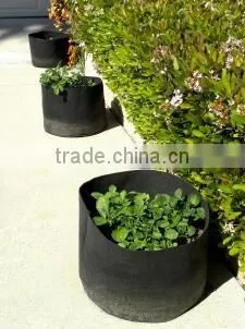 High Quality Removable Outdoor Plant Grow Bag photo-2