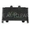 OEM Standard 2 Row Aluminium Auto Radiator for SUZUKI GSF1200 Bandit Oil Cooler