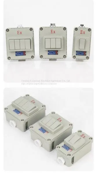Explosion-proof Wall Switch BQK One Two Three Four Has the Certificate Lighting Switch photo-2