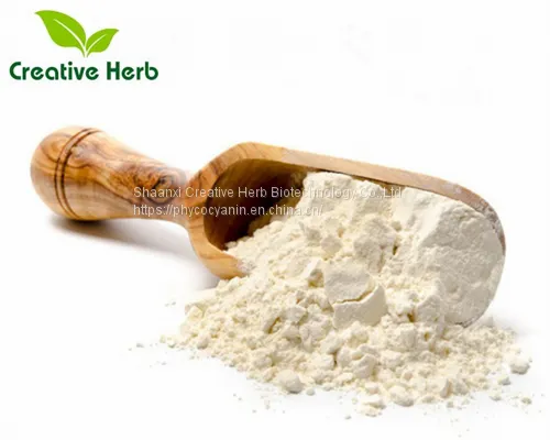 Fat-free Peanut protein powder manufacturer
