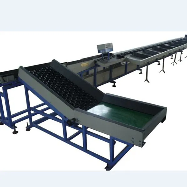Fruit Washing Drying Waxing Grading Sorting Machine photo-5