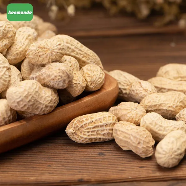 Export Grade Suitable for Roasting Whole Groundnuts in Shell 13/15 for Garlic Flavor Processing