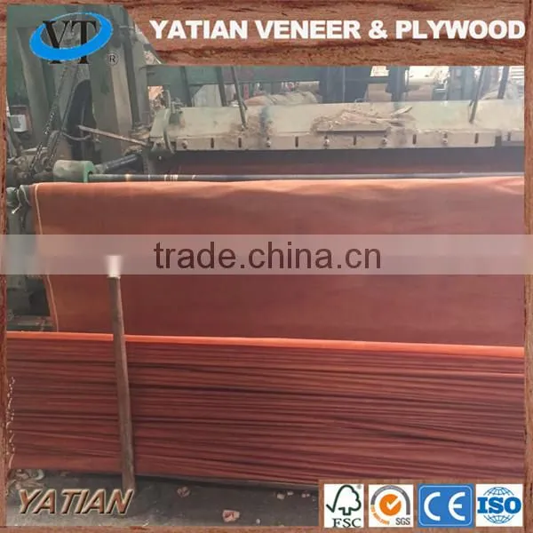 Grade ABCD 0.28-0.3mm Furniture Water Gum Veneer