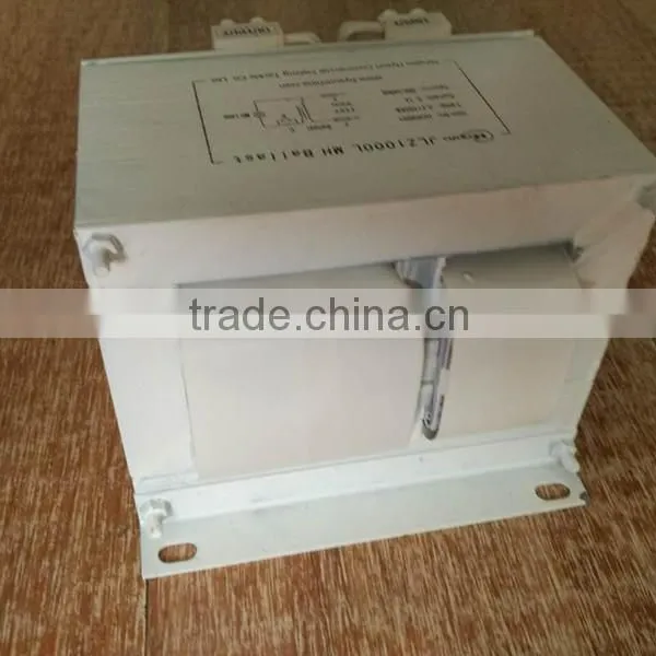 Ballast for 1000W Luring Fishing Light photo-4