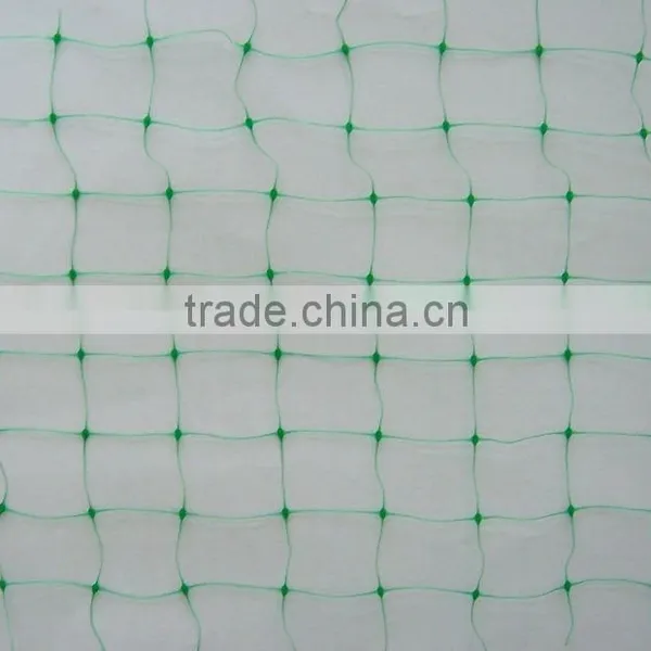 Garden Netting/Plastic Anti Bird Net photo-3