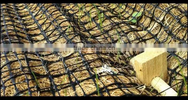 Strong Plastic Slope Road Protection Net/Ground Softing Net/Grass Growing Net photo-5