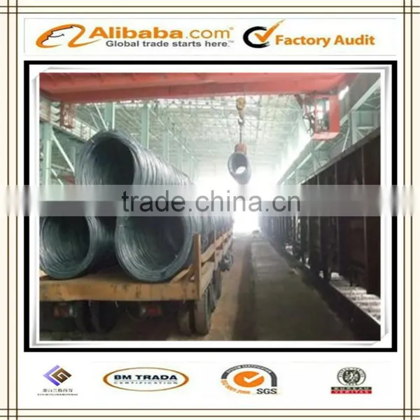 Hot Rolled Steel Rebar, Steel Reinforcing Rebar for Construction photo-3