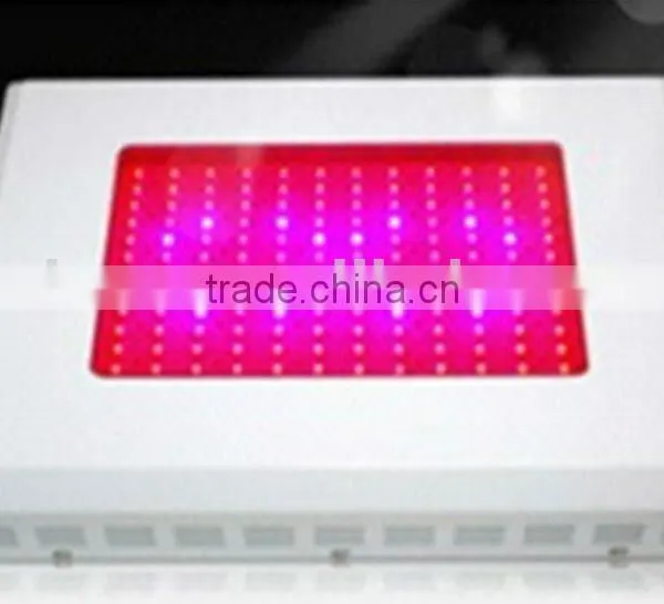 LED Plant Grow Lamp for Agriculture