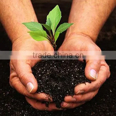 Urea 46 photo-2
