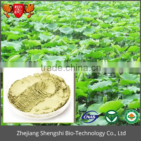 High Quality Lotus Leaf Extract Powder, Fresh Lotus Leaf Extract