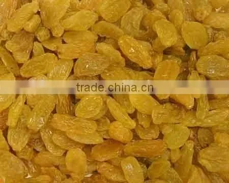Supply Varies Dried Raisins in High Quality photo-2