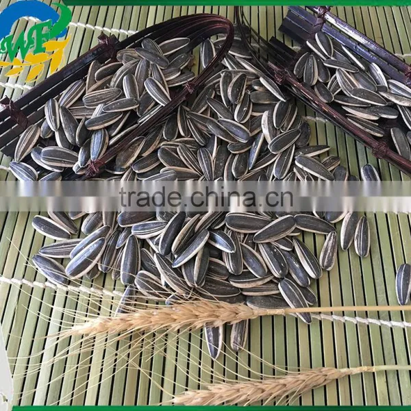 Best Cheap Sunflower Seed 601 Get Latest Price photo-3
