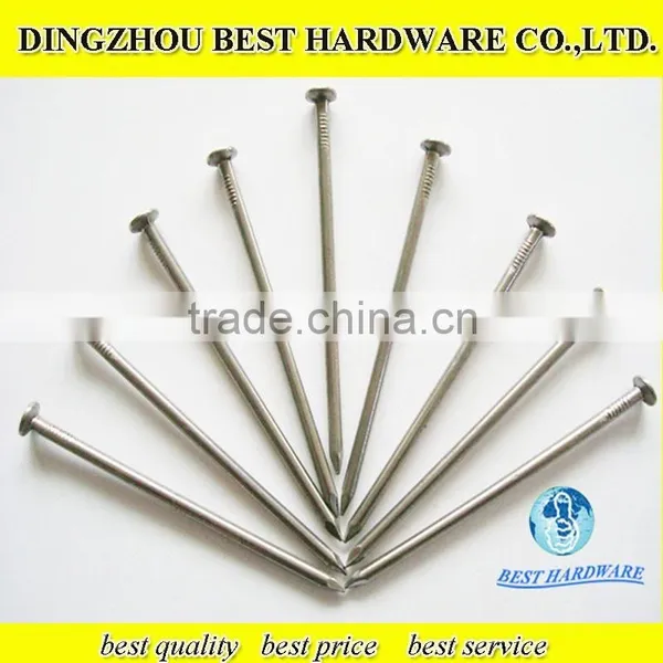 Polished Common Iron Nail photo-5