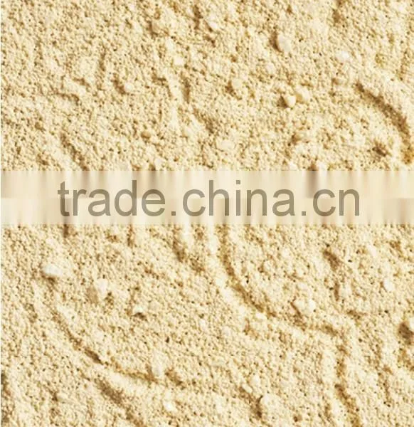 Top Quality Exterior Spray Finish for Wall Decoration photo-6