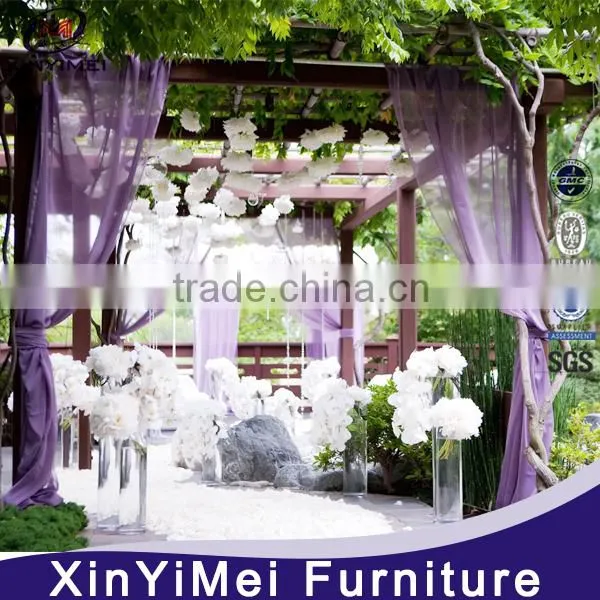 Royal Europea Style Background Wedding photo-5