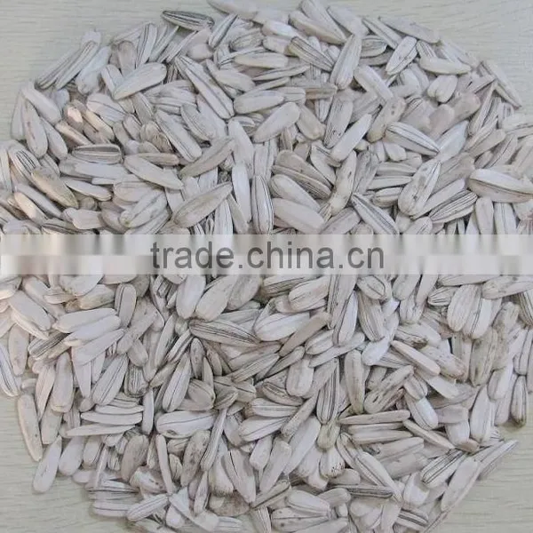 100% New White Sunflower Seeds Buyers Sunflower photo-3