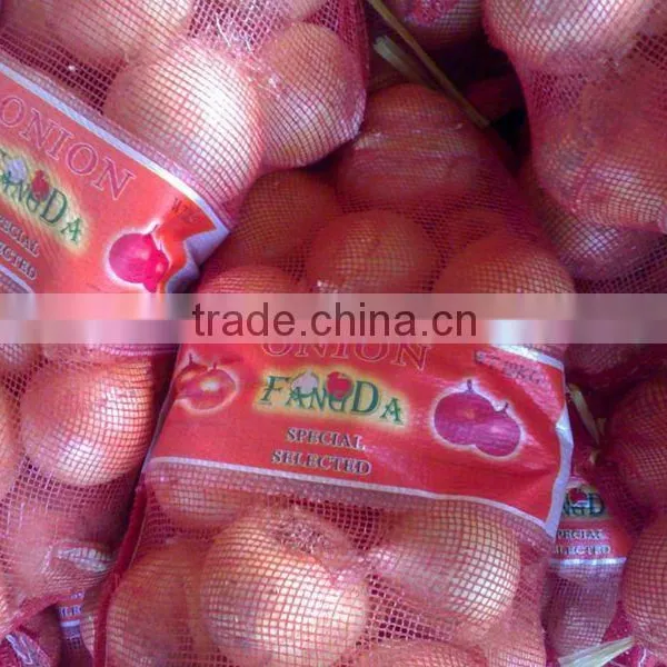 Fresh Big Onion (onoion)