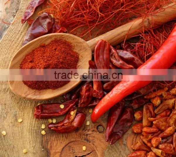 SUPER HOT RED CHILI POWDER SUPPLIER photo-3