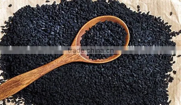 Black Cumin Seed Nigella Sativa photo-2